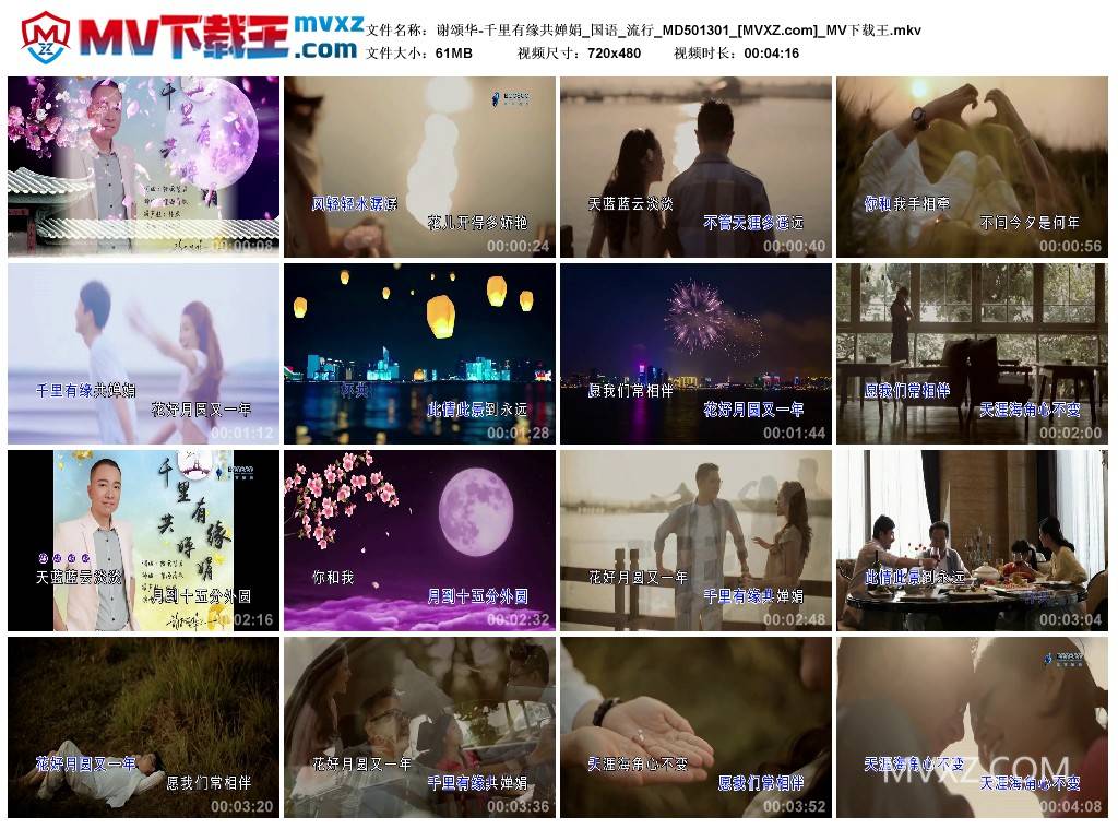 谢颂华-千里有缘共婵娟_国语_流行_MD501301